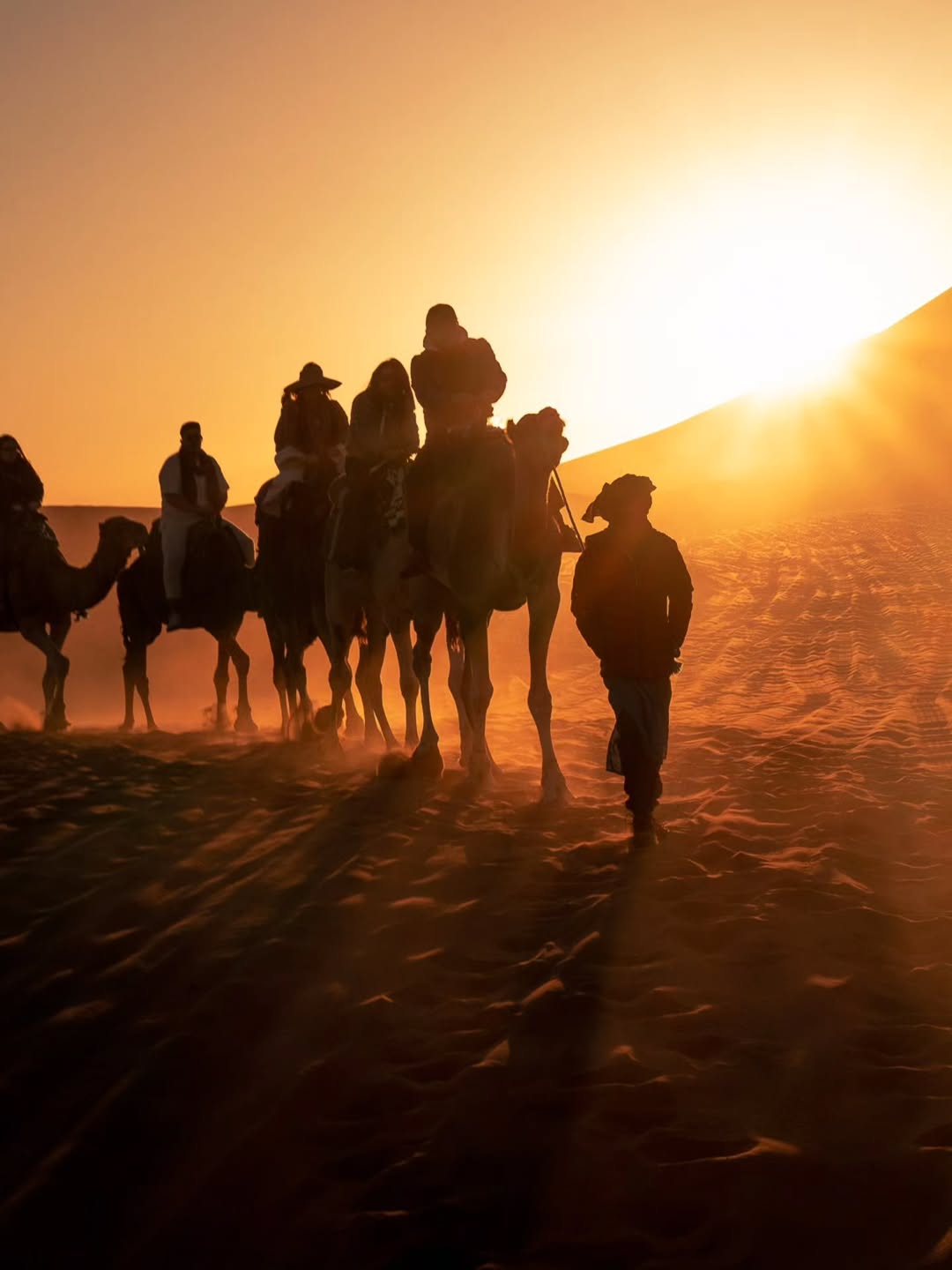 Camel caravan silhouetted on a Sahara dune crest at sunset near Merzouga