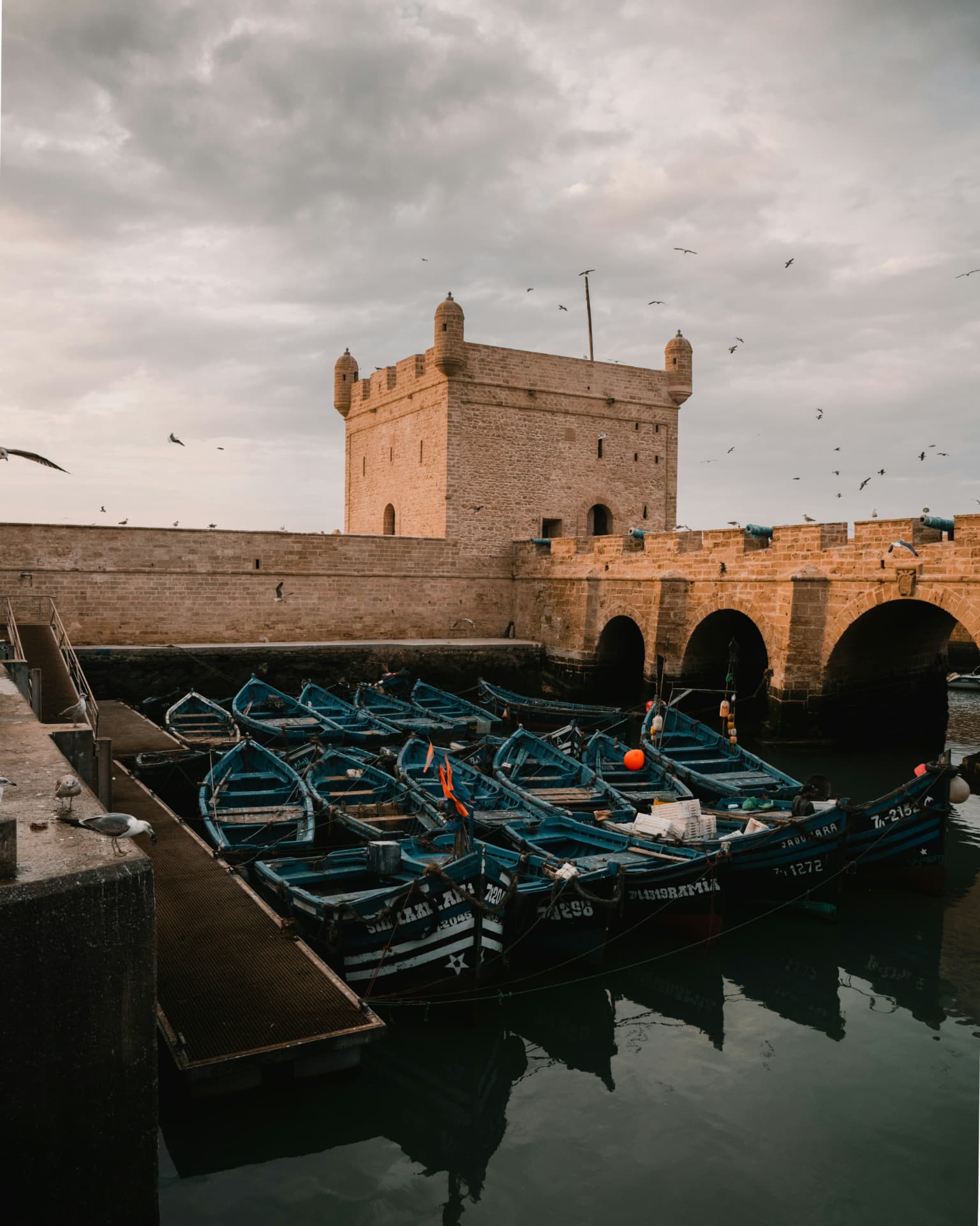 Essaouira & the coast