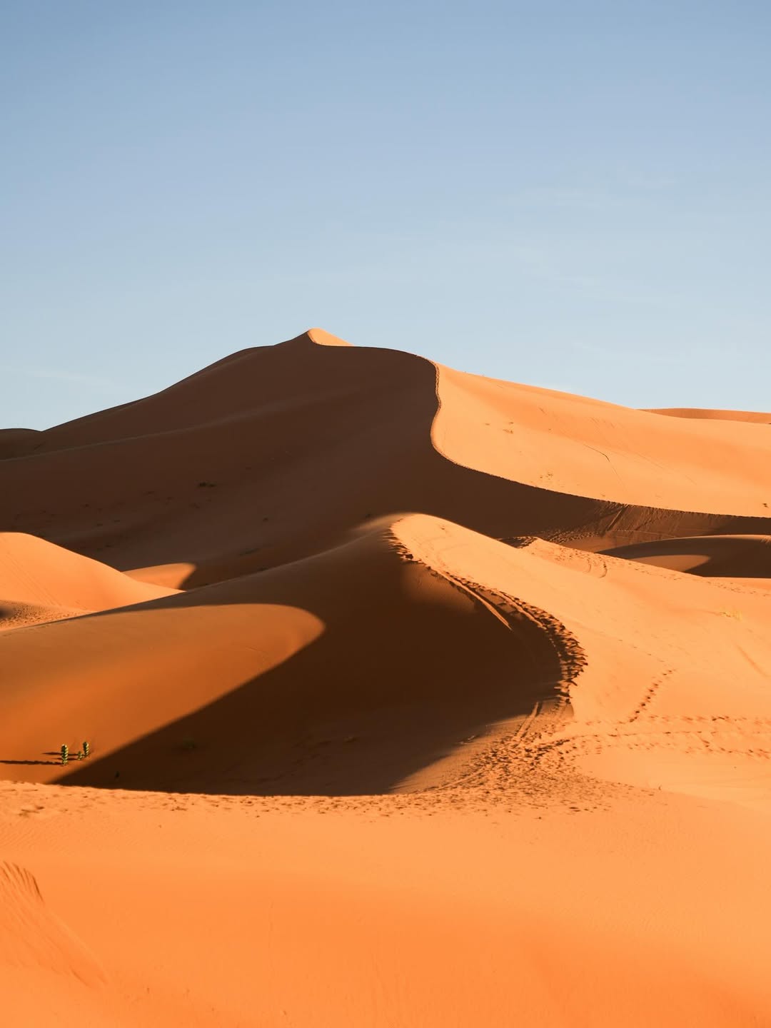 Sahara Desert